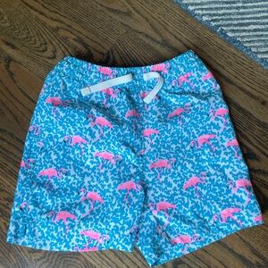 Chubbies Boys Swim Trunks - Flamingo🦩 - Size 5